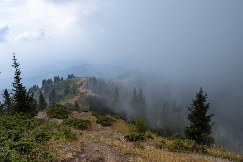 Photograph by Галина Канеева