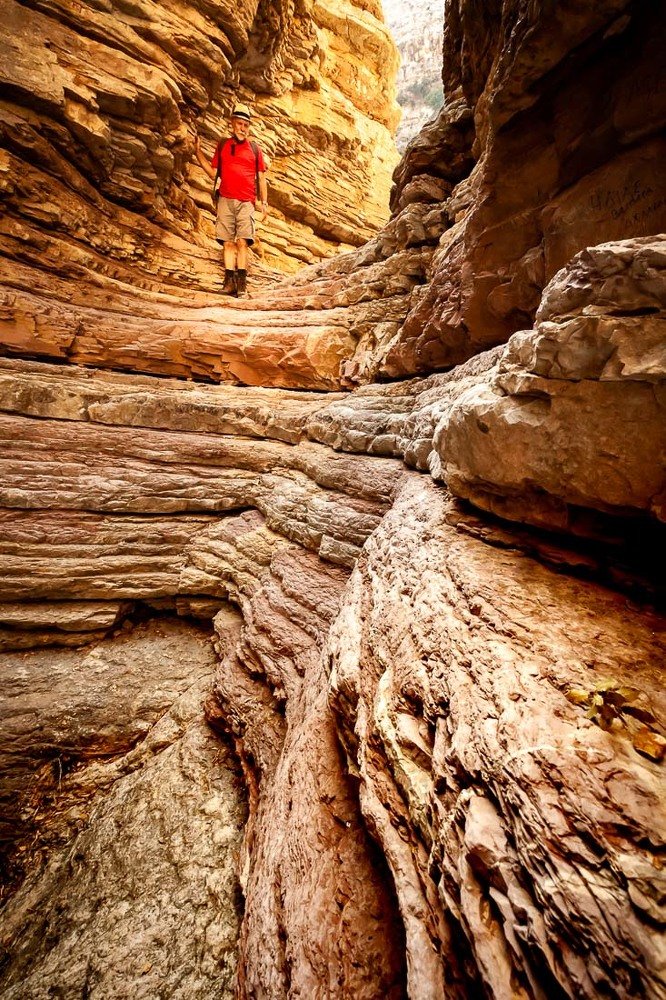 Photograph by Татьяна Макотра