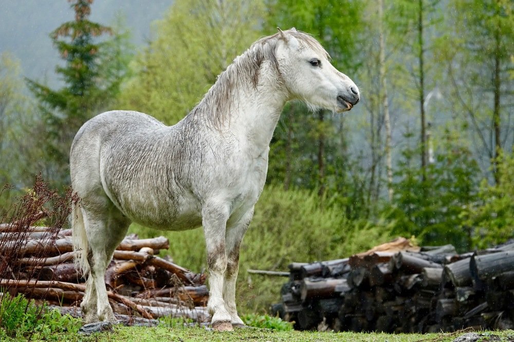 Photograph by Наталья Пирогова