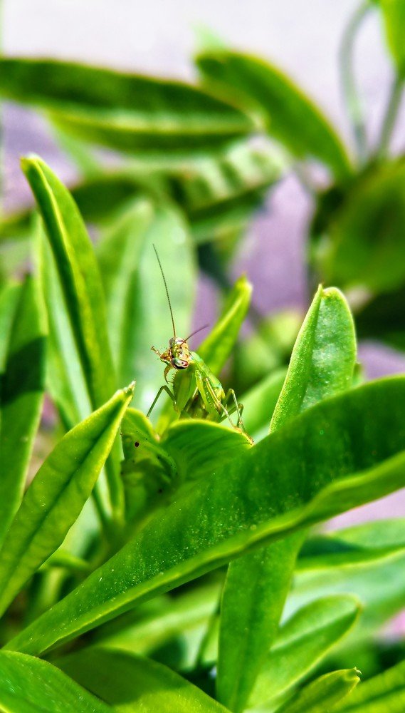 Photograph by Tinesh Manohar
