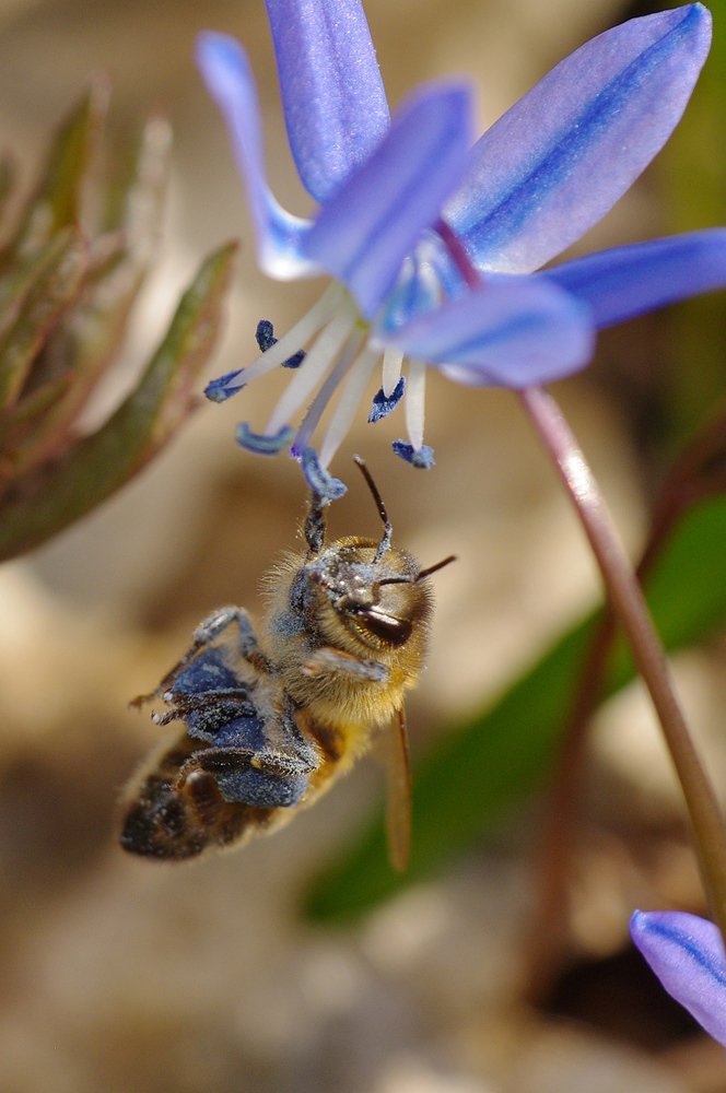 Photograph by Владимир Богданов