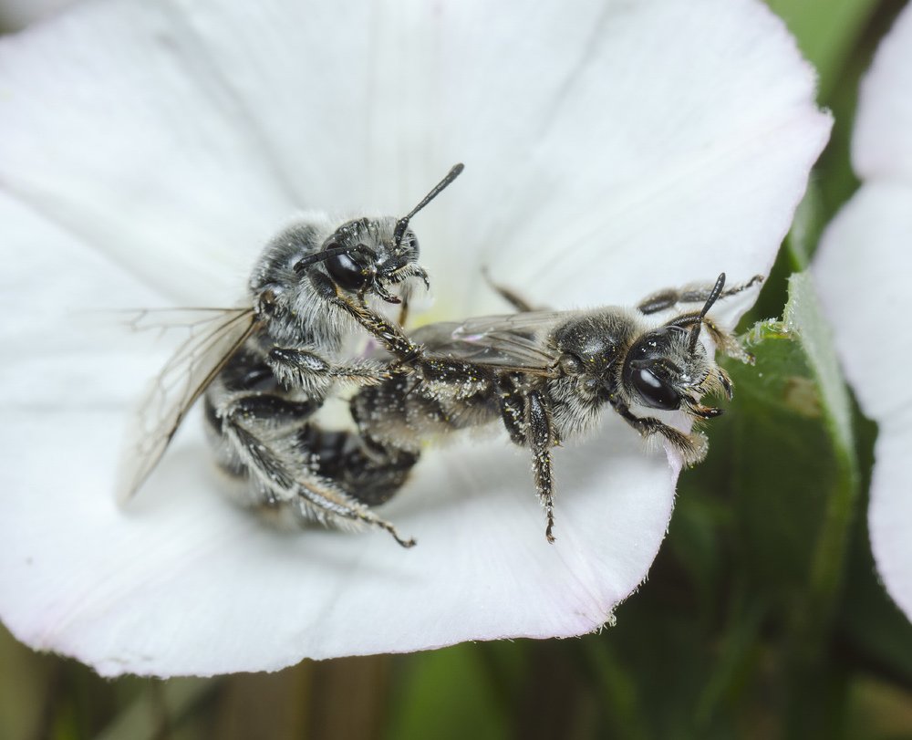 Photograph by Владимир Богданов