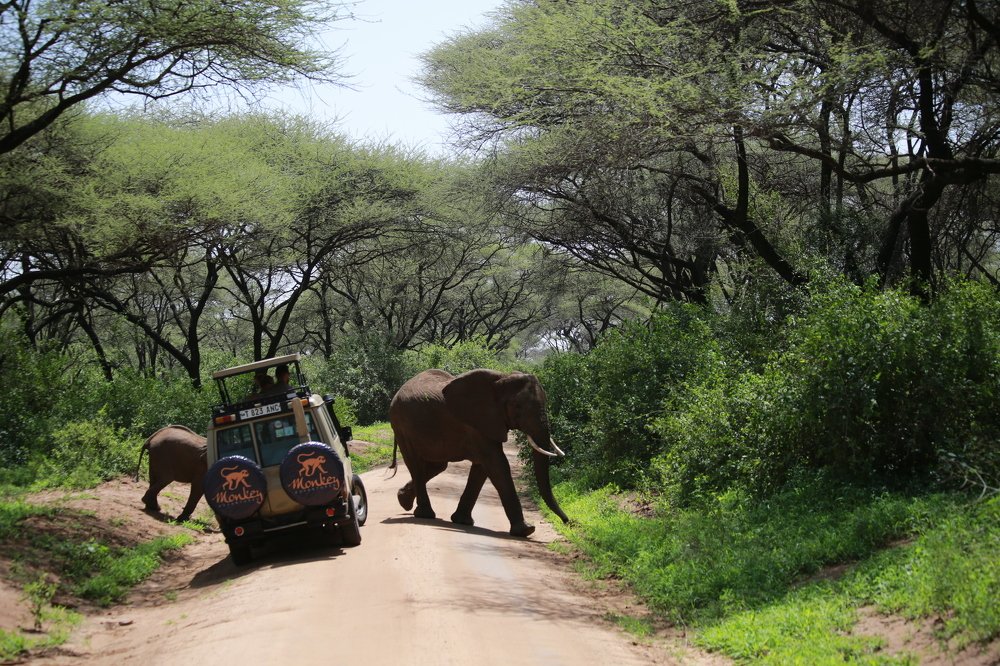 Photograph by Александр Юдин