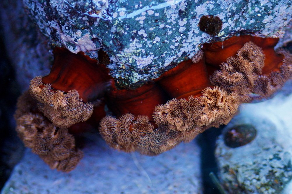 Photograph by Юлия Лихачева