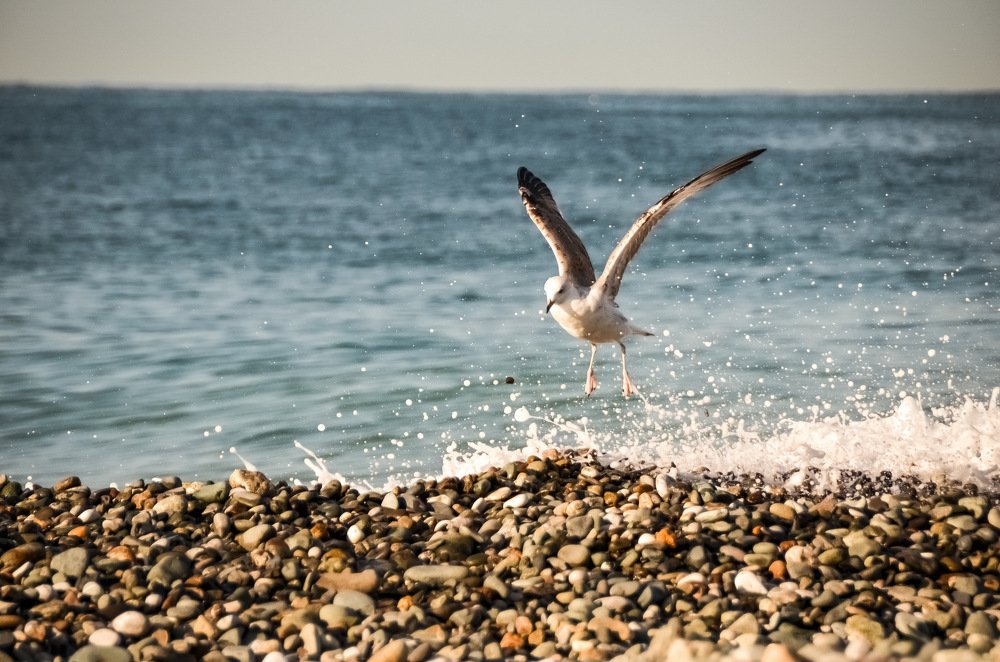 Photograph by Alena Shkurlakova