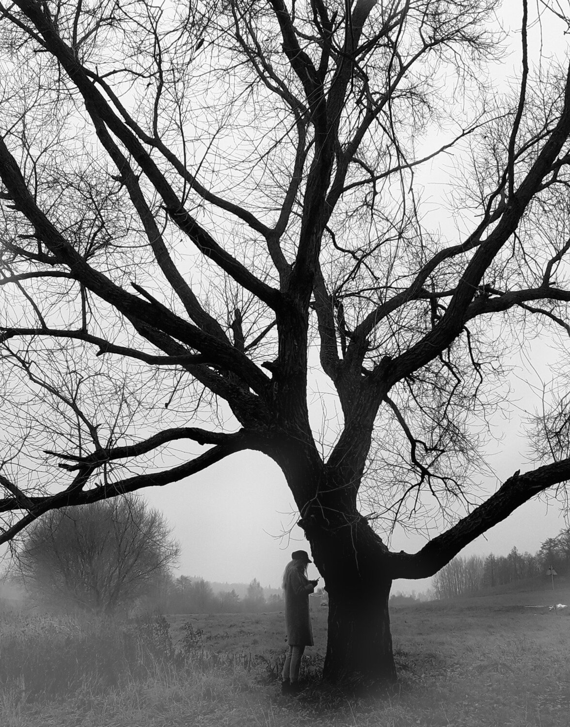 Photo #3933389