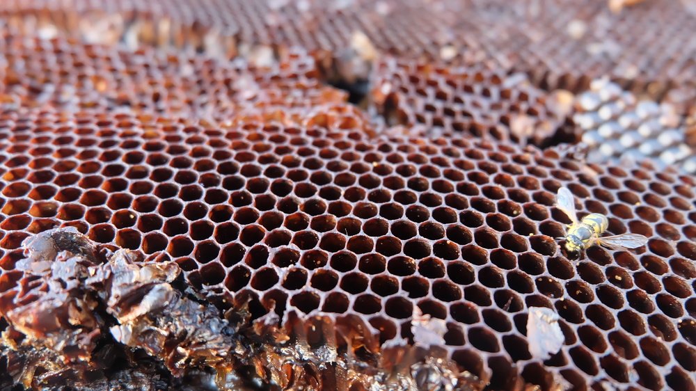 Photograph by Анна Панкратова