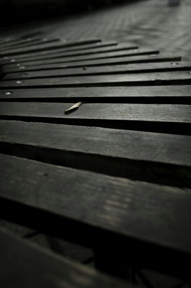 Photograph by HamidReza Farahani