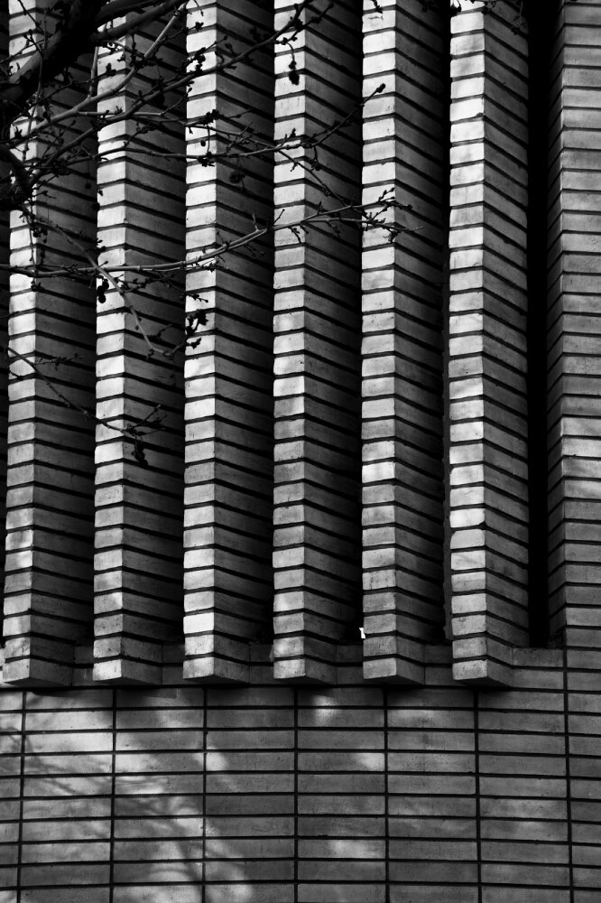 Photograph by HamidReza Farahani