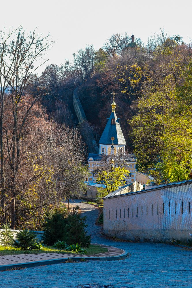 Фотография автора Дмитрий Васильев