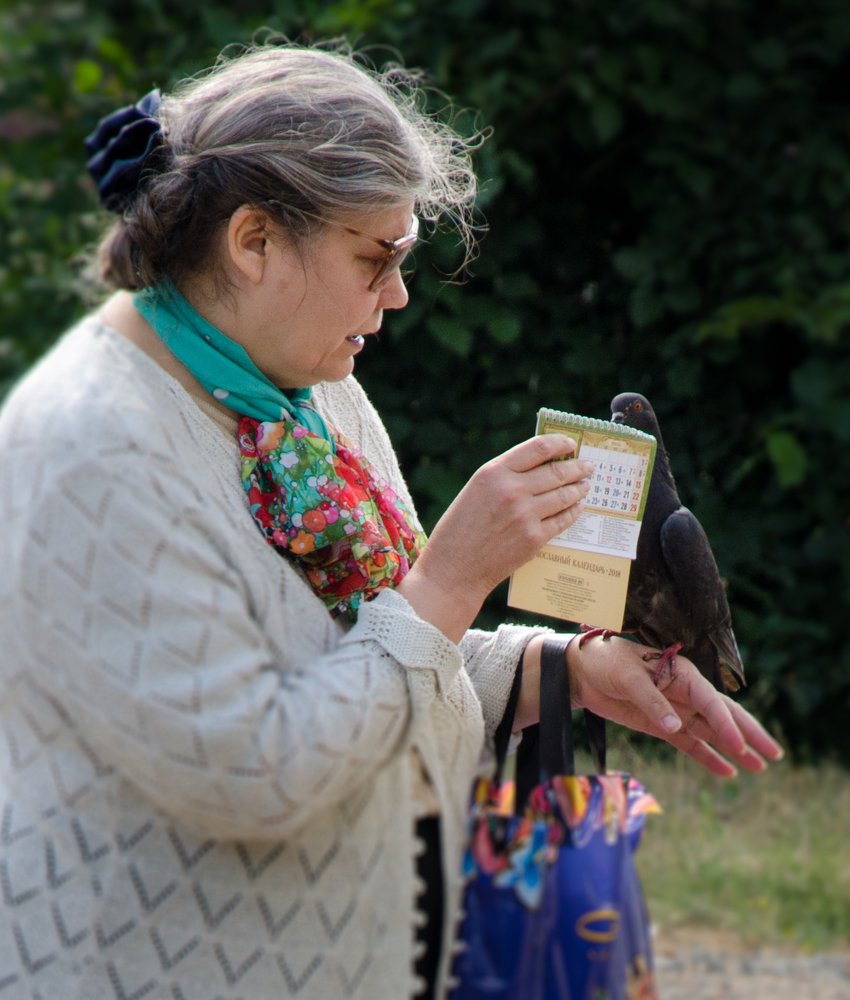 Фотография автора Вячеслав Владимирович