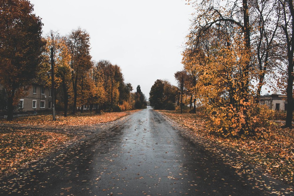 Photograph by Алексей Коротеев