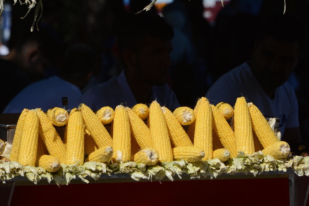 Photograph by Gülşen  Mutlu