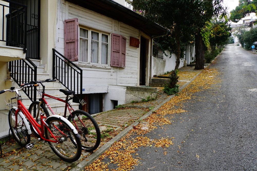 Photograph by Esma Güvenç Gündüz