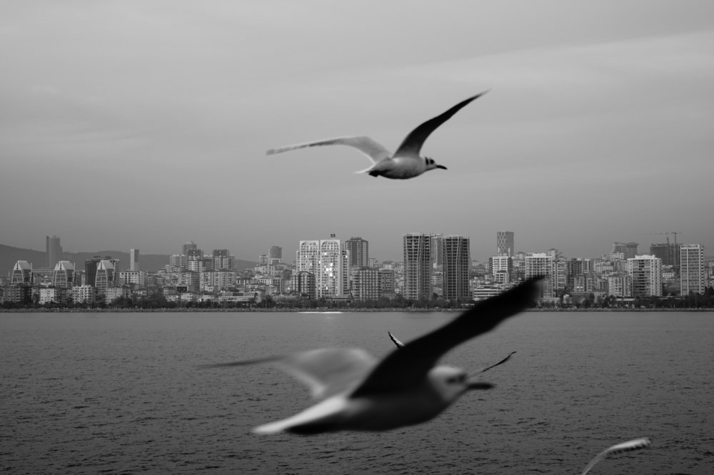 Photograph by Esma Güvenç Gündüz