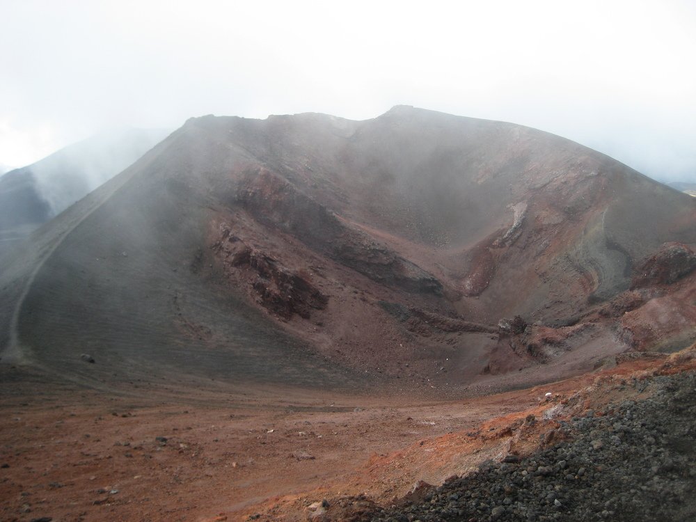 Photo #3933915