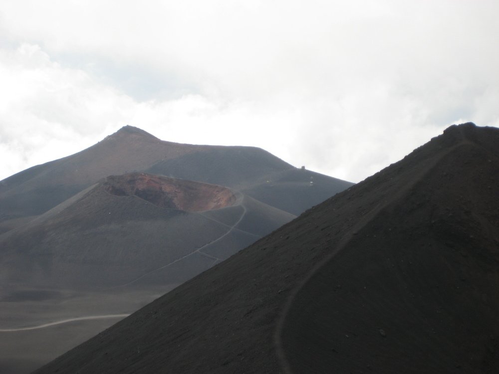 Photo #3933920