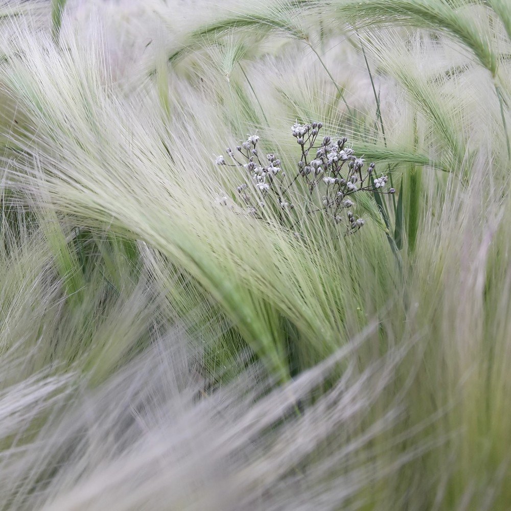 Тонкие линии. Сила красоты.