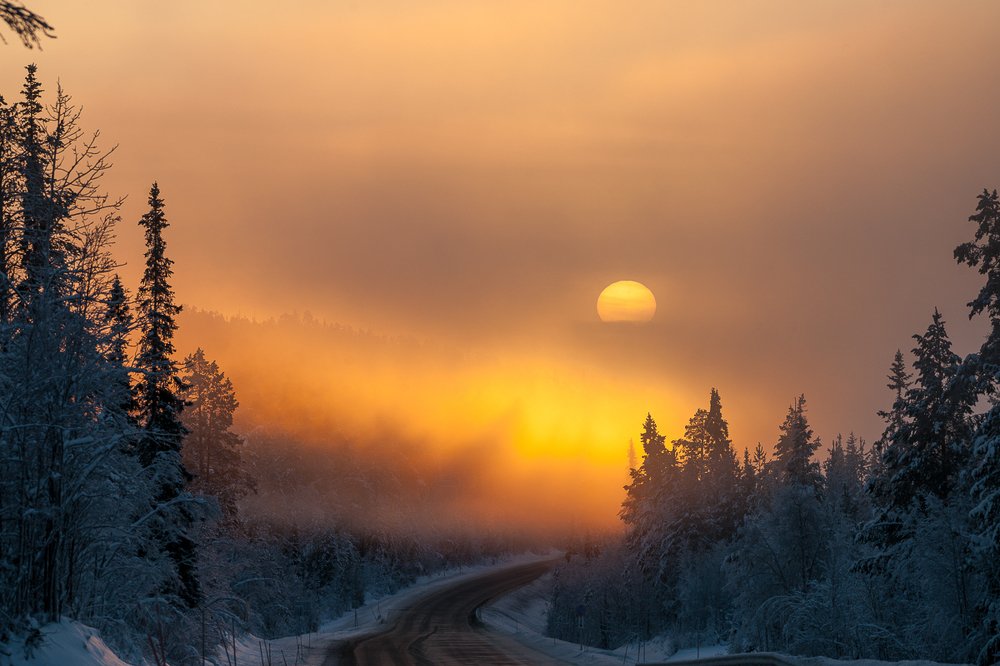 Photograph by Михаил Леоненко