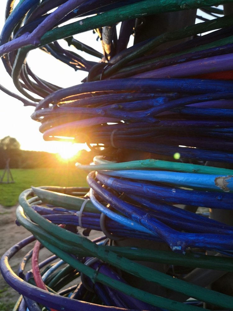 Окольцевали