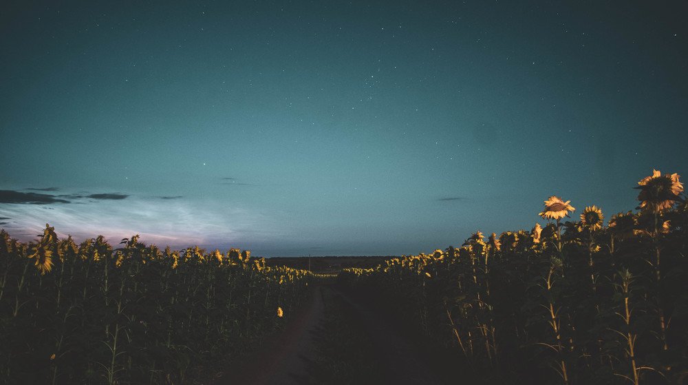 Photograph by Алексей Коротеев