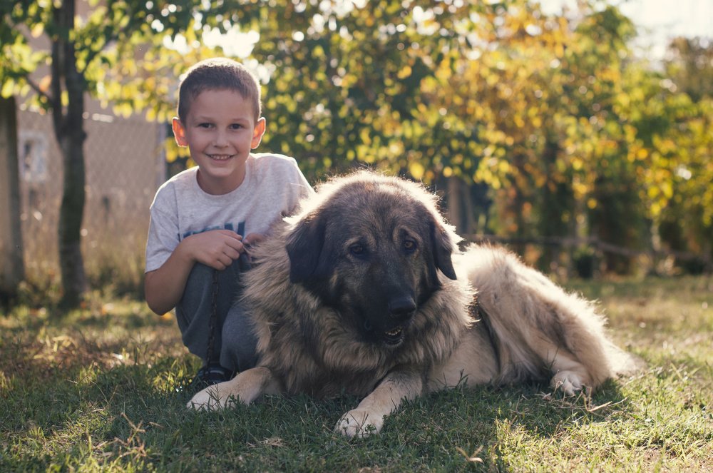 Photograph by Nikolina Mimić Dujmović