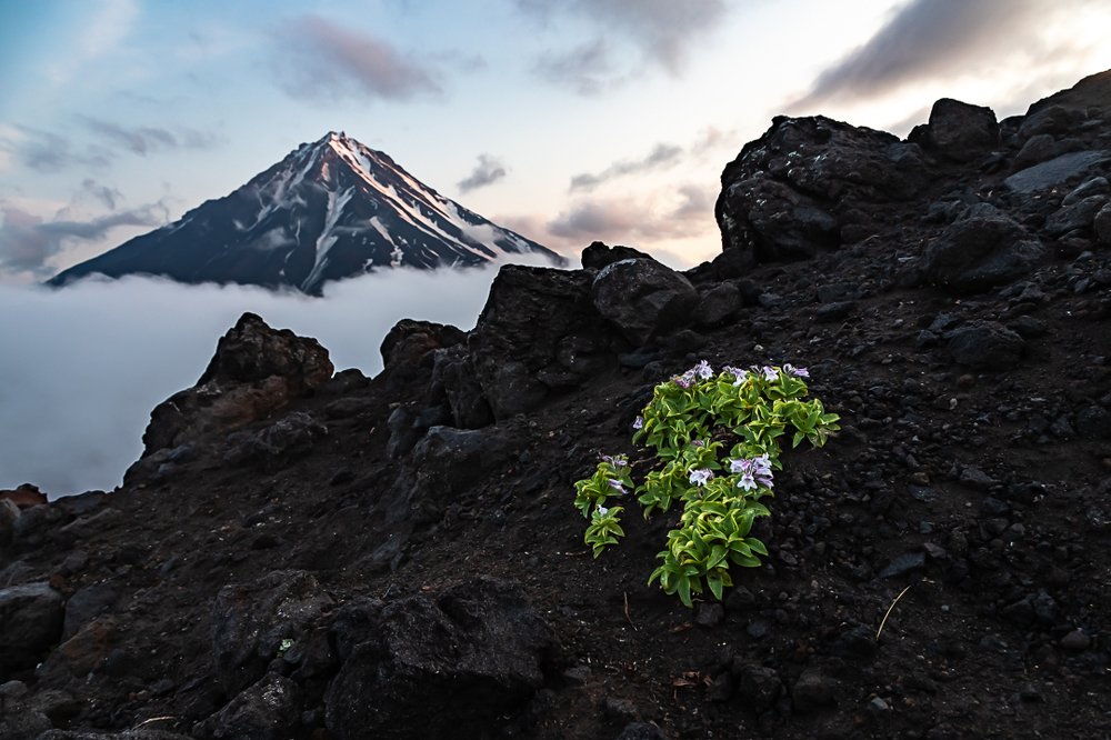 Photograph by Василий Бережной