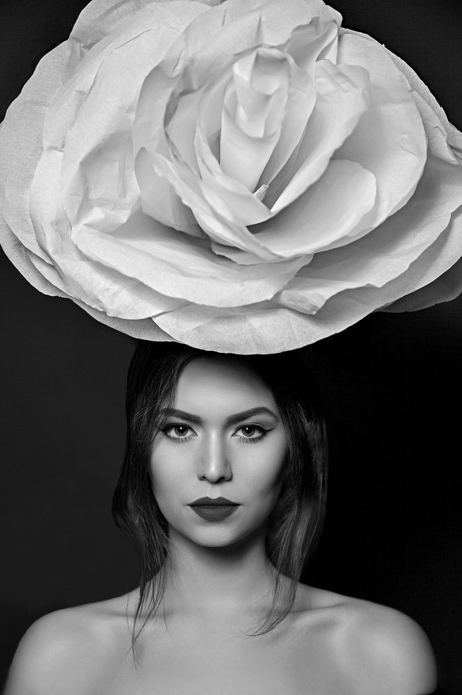 Photograph by Kate Rommel