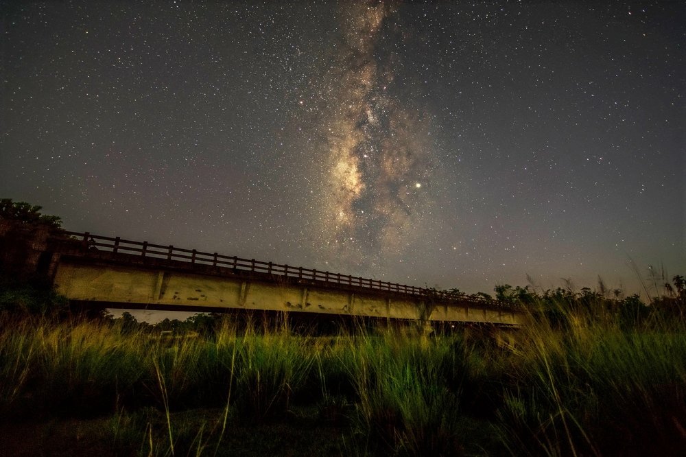 Photograph by SIMSON DAS