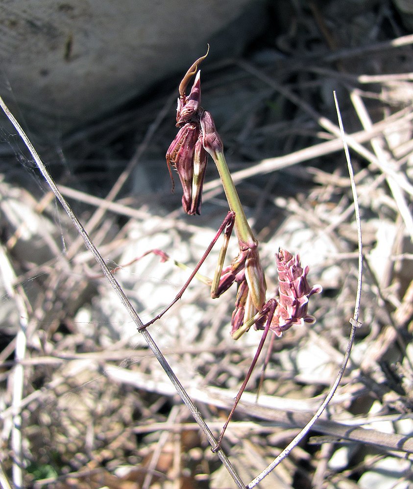 В поисках равновесия