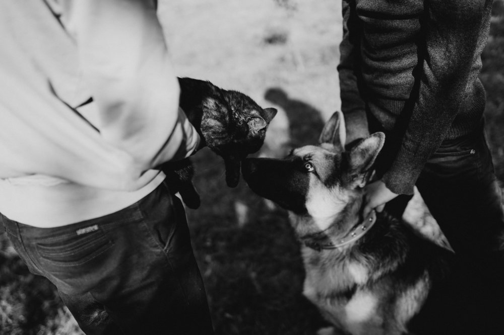 Photograph by  ольга