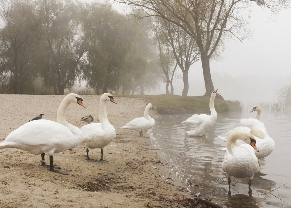 На краю земли