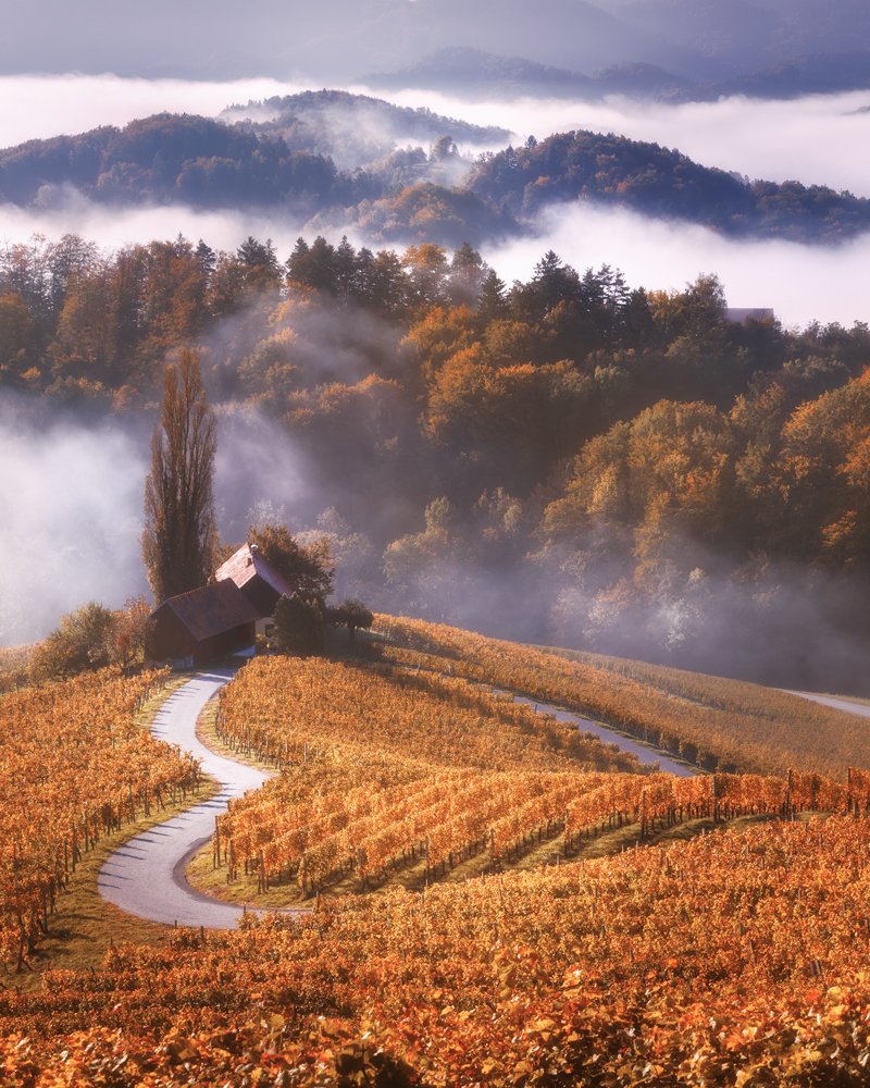 Сердце Словении