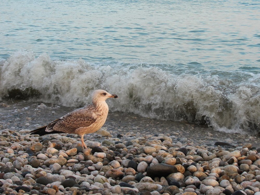 Photograph by Альбина