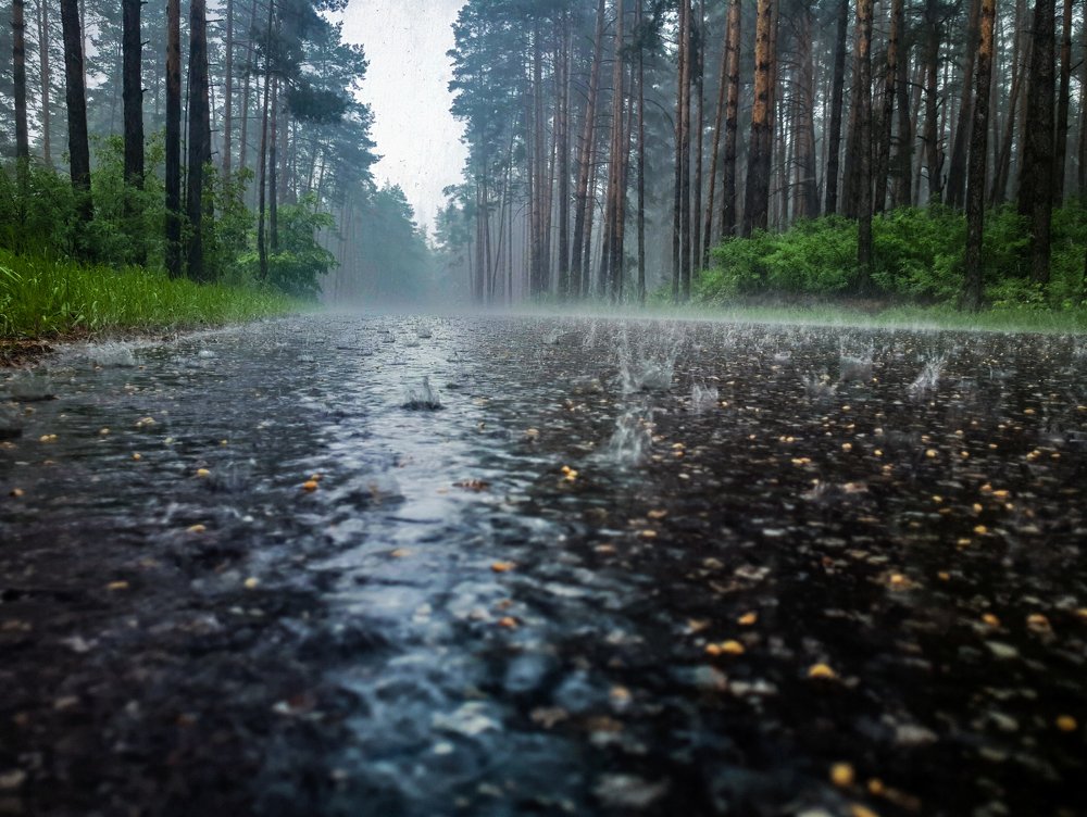 Photograph by Алексей Коренев