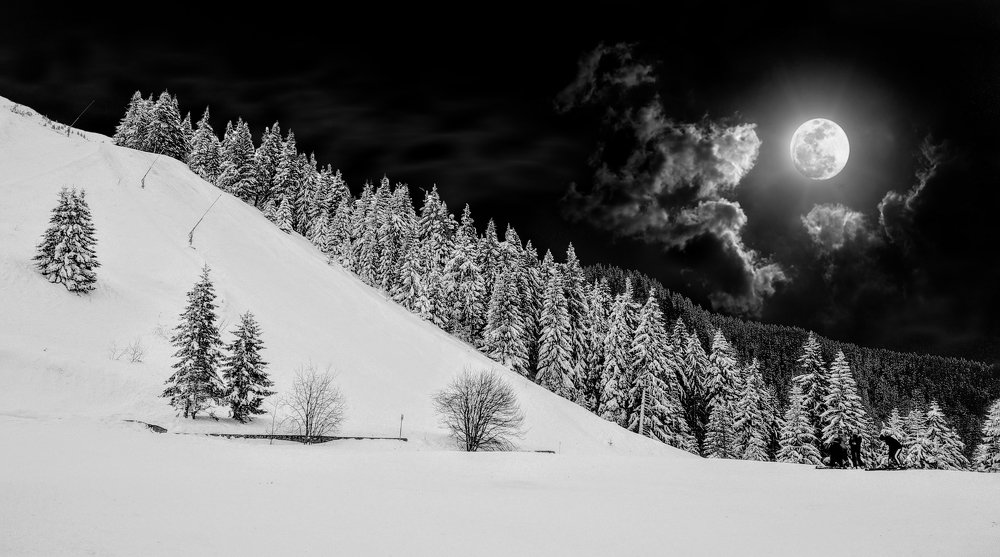 Лунный выдался денек!