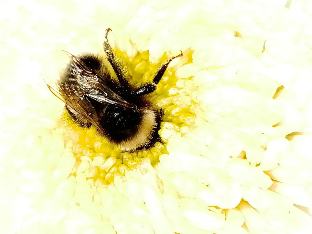 Photograph by Евгений Фазлеев