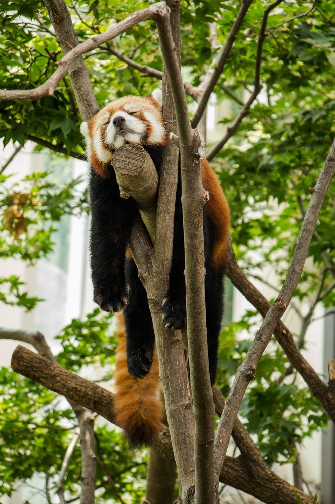 Photograph by Ирина Фастовец