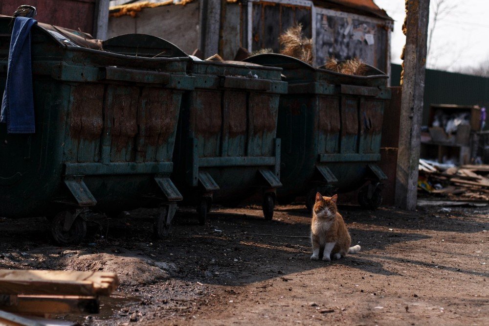 Photograph by Ольга Чуманова