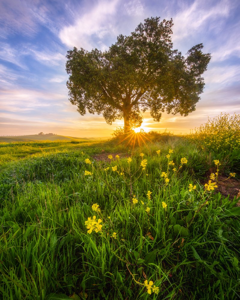 Фотография автора Oleg Rest