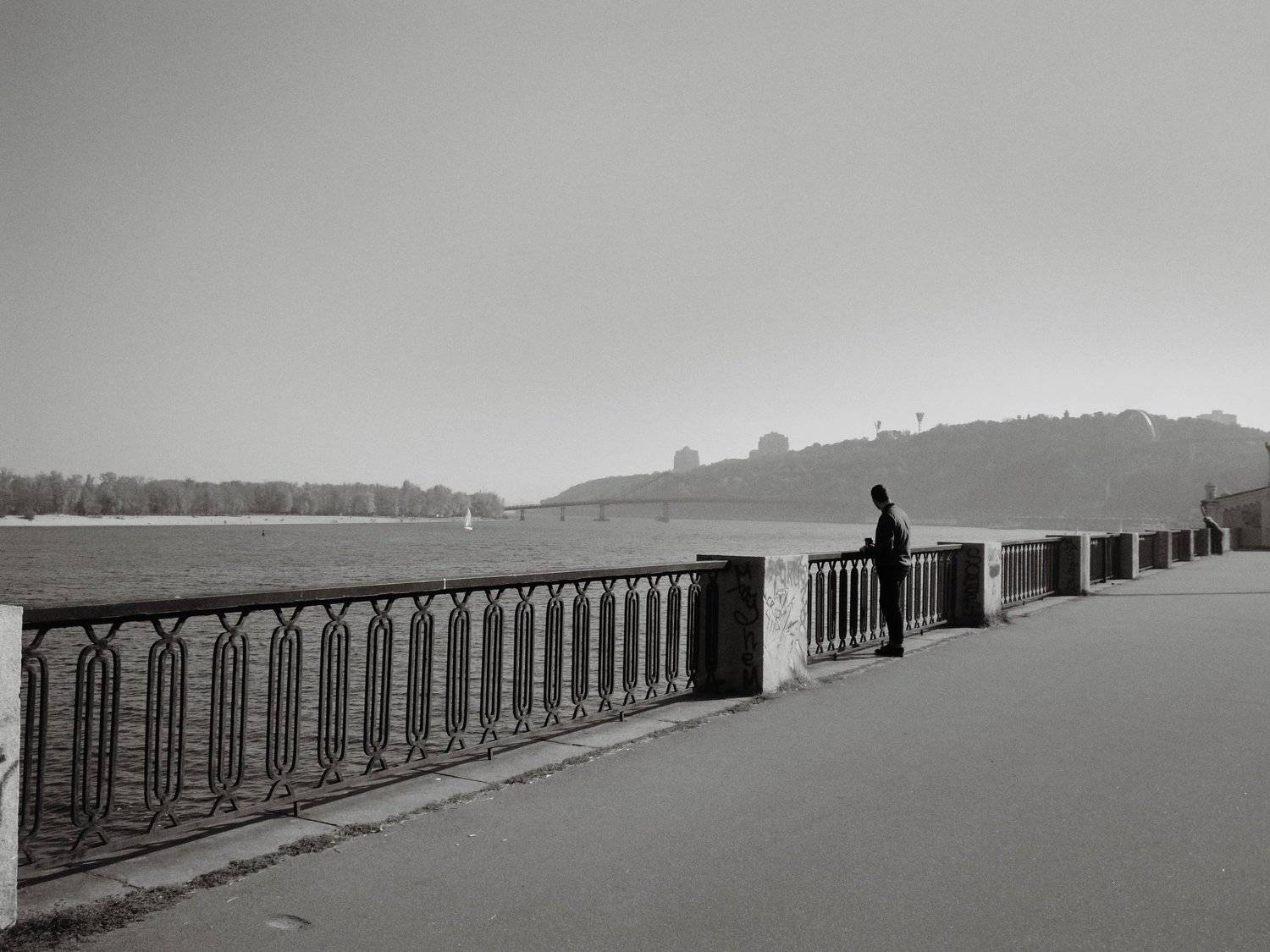 Photo #3934650
