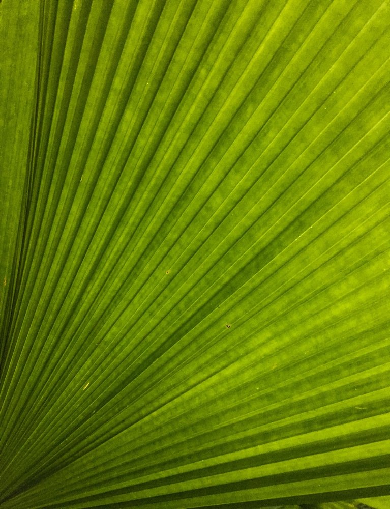 Photograph by Suryakant Sajjan