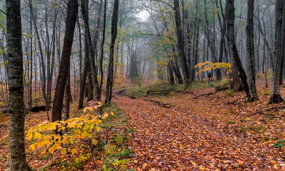 Photograph by Олег Скан