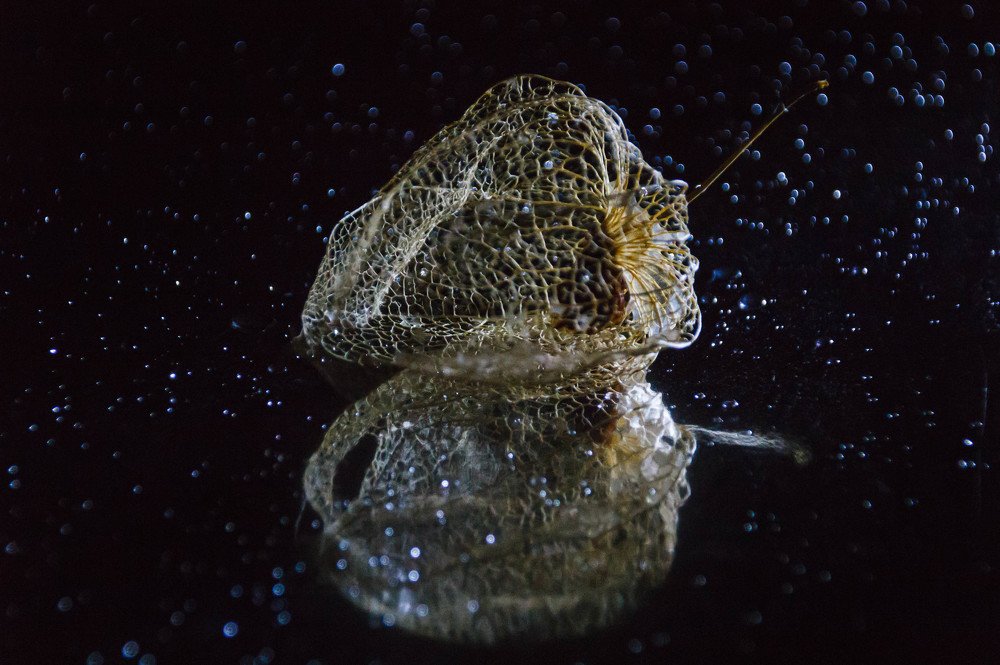Photograph by Елена Никовырина