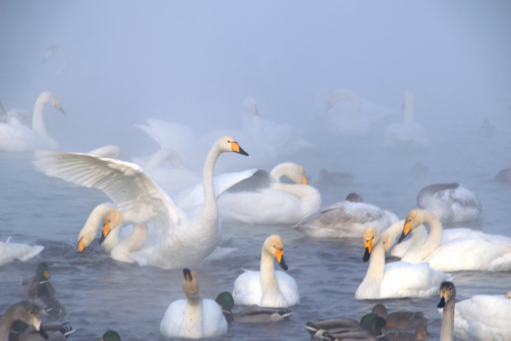 Photograph by Александр