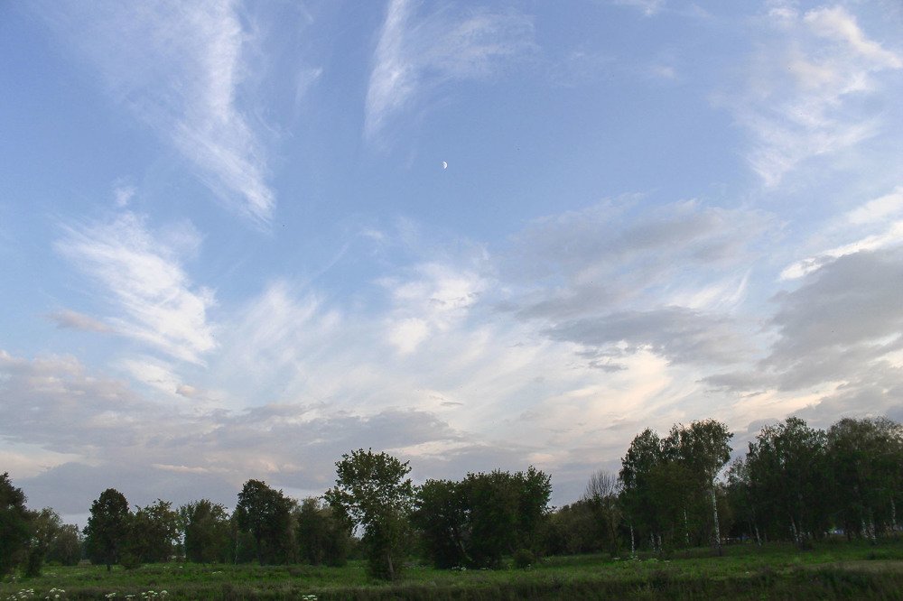 Photograph by Нинель Некрасова