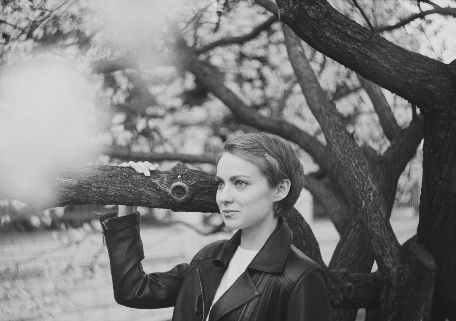 Photo #3935153