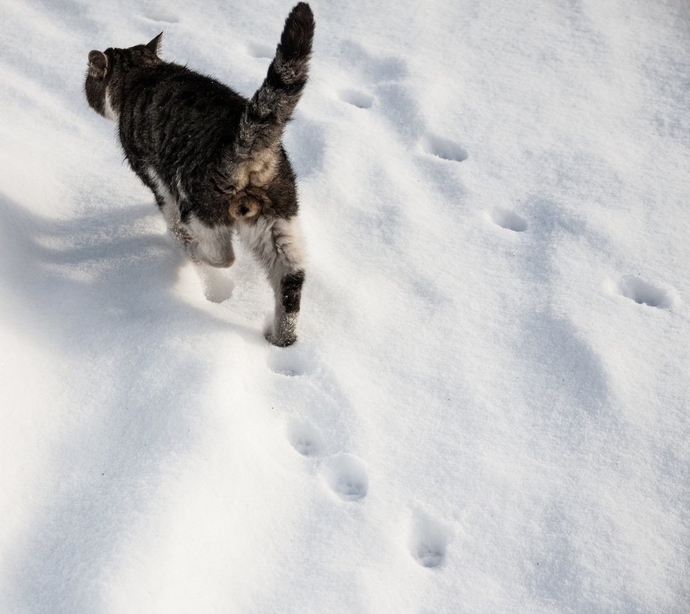 Photograph by Евгения Жос