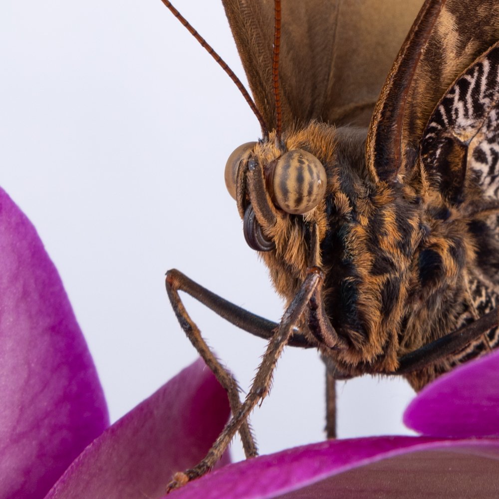 Photograph by Альбина Рычкова