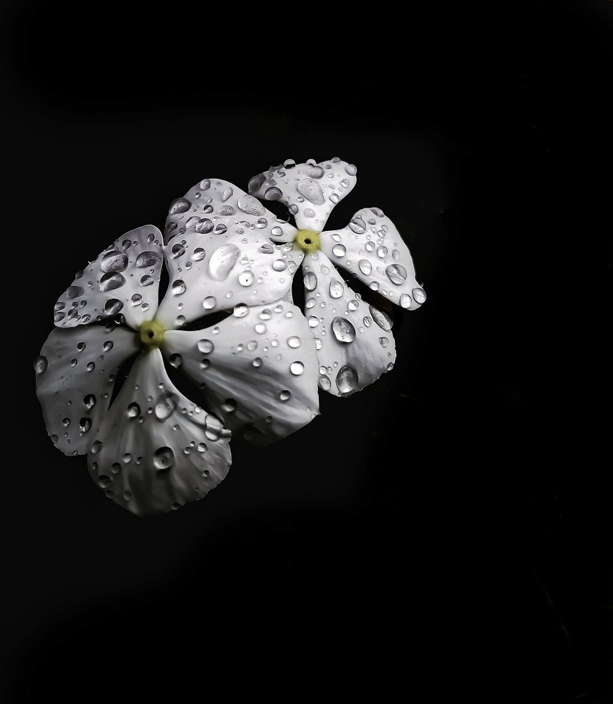 Photograph by Kandarp Mehta